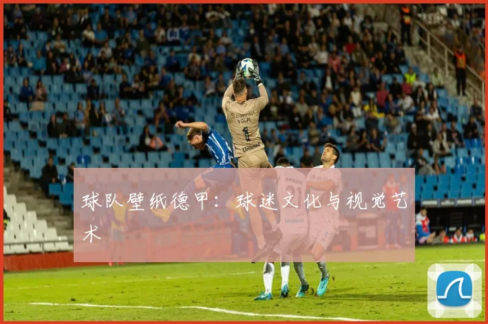 球队壁纸德甲：球迷文化与视觉艺术