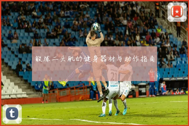 锻炼二头肌的健身器材与动作指南