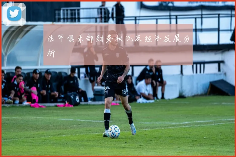 法甲俱乐部财务状况及经济发展分析