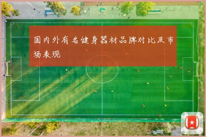 国内外有名健身器材品牌对比及市场表现