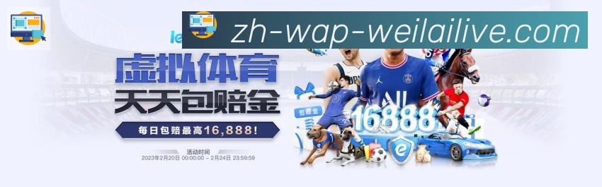 纬来体育服务体系