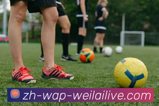 多媒体互动体验